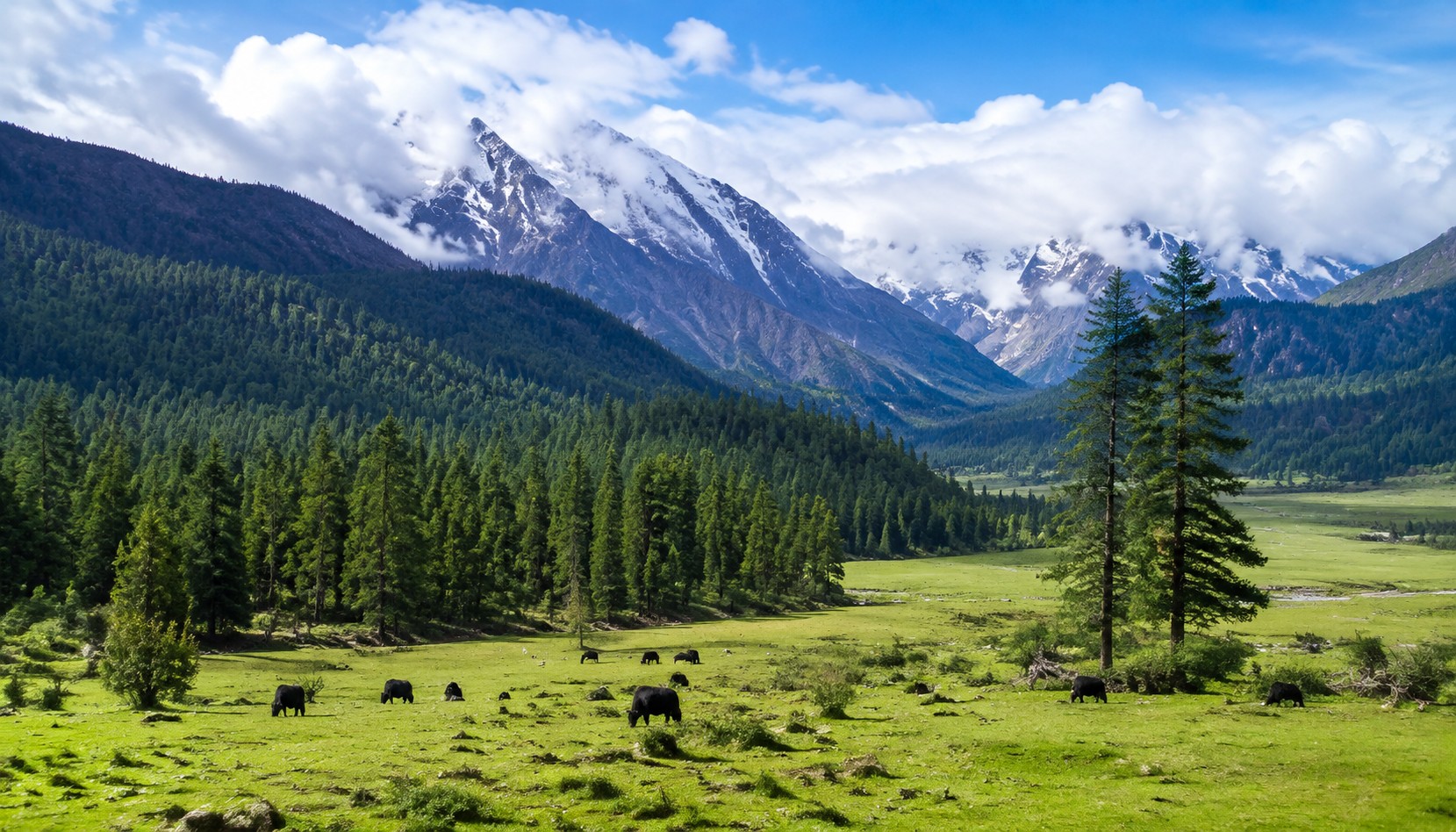 Ein entspannter Nachmittag in Lhasa nach der Sichuan-Tibet-Fahrt